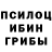 Галлюциногенные грибы Psilocybine cubensis Brandy Eder