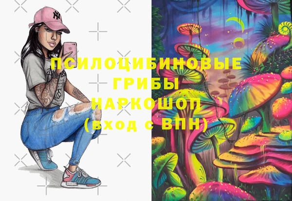 МДПВ Алексин