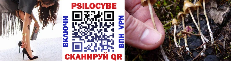 Псилоцибиновые грибы Cubensis  купить   blacksprut ССЫЛКА  Хвалынск 
